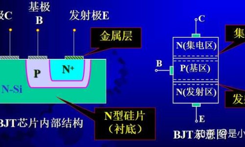 月子期间适合吃的食物有哪些水果网坐月子适合吃什么水果知识网站,分享坐月子适合吃什么水果大全